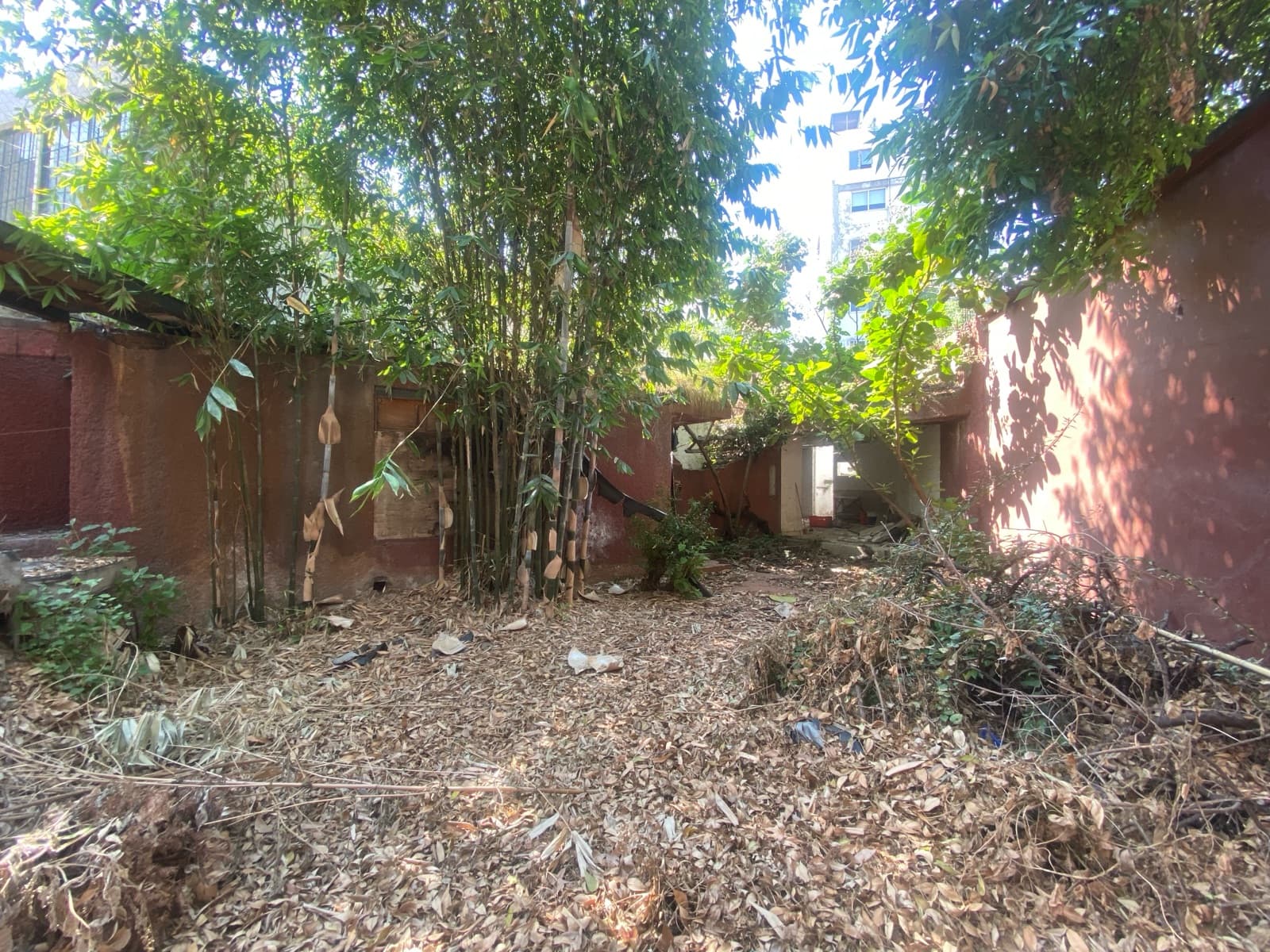 Terreno en Insurgentes Mixcoac, fotografía 5